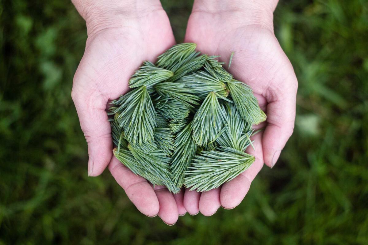Studio Interior